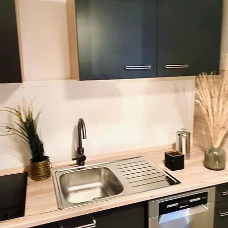 Saniertes - Elisa - Mit Balkon, Wlan, Smart-tv & Kueche In City-naehe * Erfurt